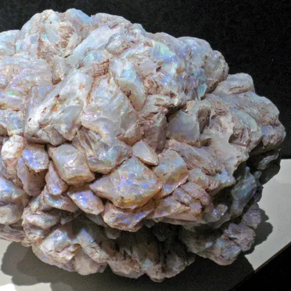 An opal pineapple: precious opal replacing a radiating cluster of glendonite crystals